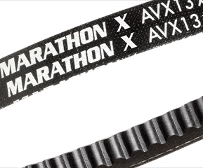 �������� ����� AVX